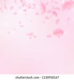 Sakura petals falling down. Romantic pink flowers gradient. Flying petals on pink square background. Love, romance concept. Divine wedding invitation.