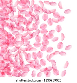 Sakura petals falling down. Romantic pink silky big flowers. Thick flying cherry petals. Left gradient fine vector background. Love, affection, romance concept.
