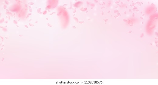 Sakura petals falling down. Romantic pink flowers falling rain. Flying petals on pink wide background. Love, romance concept. Mesmeric wedding invitation.