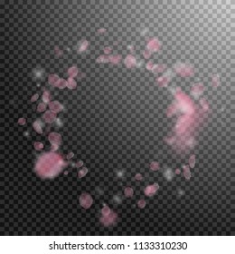 Sakura petals falling down. Romantic pink flowers vignette. Flying petals on transparent square background. Love, romance concept. Imaginative wedding invitation.