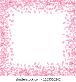Sakura petals falling down. Romantic pink silky small flowers. Thick flying cherry petals. Square border brilliant vector background. Love, affection, romance concept.