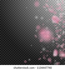 Sakura petals falling down. Romantic pink flowers gradient. Flying petals on transparent square background. Love, romance concept. Bizarre wedding invitation.