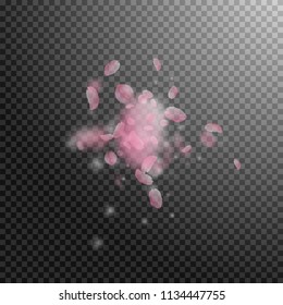 Sakura petals falling down. Romantic pink flowers explosion. Flying petals on transparent square background. Love, romance concept. Gorgeous wedding invitation.