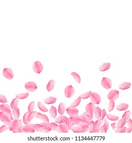 Sakura petals falling down. Romantic pink bright big flowers. Thick flying cherry petals. Scatter bottom gradient outstanding vector background. Love, affection, romance concept.