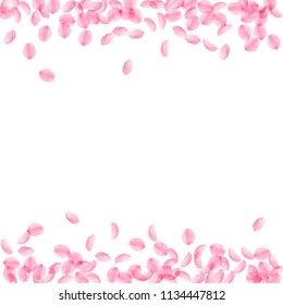 Sakura petals falling down. Romantic pink silky medium flowers. Thick flying cherry petals. Borders artistic vector background. Love, affection, romance concept.