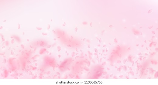 Sakura petals falling down. Romantic pink flowers falling rain. Flying petals on pink wide background. Love, romance concept. Nice wedding invitation.