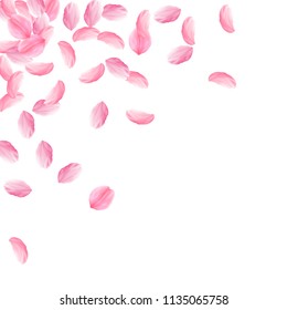 Sakura petals falling down. Romantic pink bright big flowers. Thick flying cherry petals. Scattered top left corner alive vector background. Love, affection, romance concept.