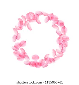 Sakura petals falling down. Romantic pink silky big flowers. Thick flying cherry petals. Round frame nice vector background. Love, affection, romance concept.