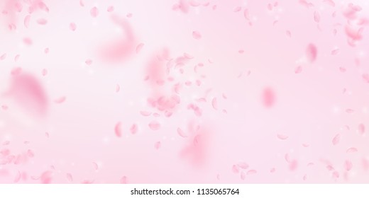 Sakura petals falling down. Romantic pink flowers explosion. Flying petals on pink wide background. Love, romance concept. Lively wedding invitation.