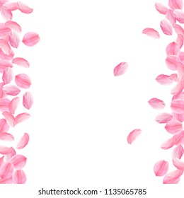 Sakura petals falling down. Romantic pink bright big flowers. Thick flying cherry petals. Messy border imaginative vector background. Love, affection, romance concept.