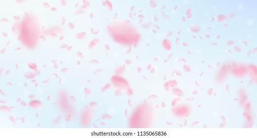 Sakura petals falling down. Romantic pink flowers falling rain. Flying petals on blue sky wide background. Love, romance concept. Likable wedding invitation.