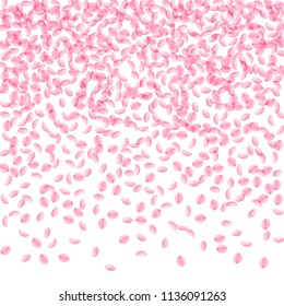 Sakura petals falling down. Romantic pink silky small flowers. Thick flying cherry petals. Top gradient ideal vector background. Love, affection, romance concept.