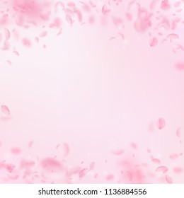 Sakura petals falling down. Romantic pink flowers falling rain. Flying petals on pink square background. Love, romance concept. Marvelous wedding invitation.