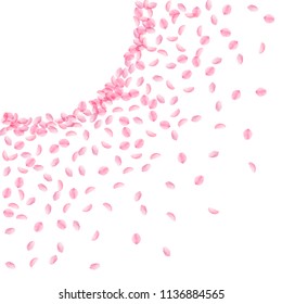 Sakura petals falling down. Romantic pink silky small flowers. Thick flying cherry petals. Left top corner ideal vector background. Love, affection, romance concept.