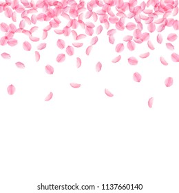 Sakura petals falling down. Romantic pink silky medium flowers. Thick flying cherry petals. Scatter top gradient stylish vector background. Love, affection, romance concept.