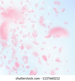 Sakura petals falling down. Romantic pink flowers gradient. Flying petals on blue sky square background. Love, romance concept. Appealing wedding invitation.