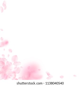 Sakura petals falling down. Romantic pink flowers corner. Flying petals on white square background. Love, romance concept. Pretty wedding invitation.