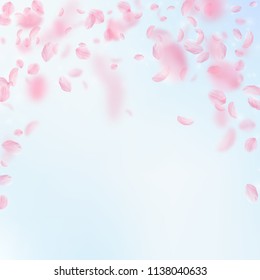 Sakura petals falling down. Romantic pink flowers falling rain. Flying petals on blue sky square background. Love, romance concept. Gorgeous wedding invitation.