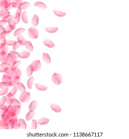 Sakura petals falling down. Romantic pink silky big flowers. Thick flying cherry petals. Scatter left gradient powerful vector background. Love, affection, romance concept.