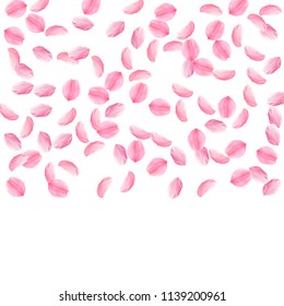 Sakura petals falling down. Romantic pink silky medium flowers. Sparse flying cherry petals. Top gradient square incredible vector background. Love, affection, romance concept.