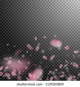 Sakura petals falling down. Romantic pink flowers gradient. Flying petals on transparent square background. Love, romance concept. Attractive wedding invitation.