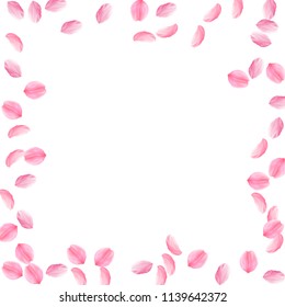Sakura petals falling down. Romantic pink silky medium flowers. Sparse flying cherry petals. Square border bizarre vector background. Love, affection, romance concept.