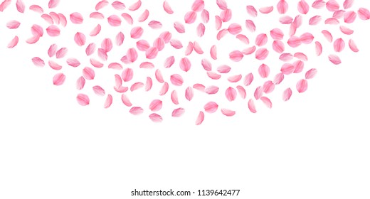 Sakura petals falling down. Romantic pink silky medium flowers. Sparse flying cherry petals. Wide top semicircle beautiful vector background. Love, affection, romance concept.