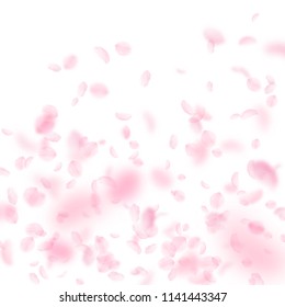 Sakura petals falling down. Romantic pink flowers gradient. Flying petals on white square background. Love, romance concept. Creative wedding invitation.