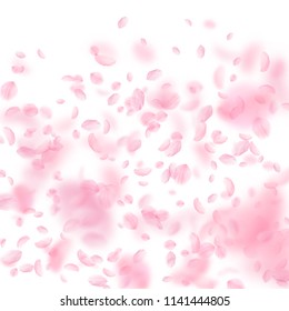 Sakura petals falling down. Romantic pink flowers gradient. Flying petals on white square background. Love, romance concept. Tempting wedding invitation.