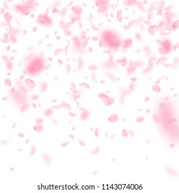 Sakura petals falling down. Romantic pink flowers gradient. Flying petals on white square background. Love, romance concept. Beauteous wedding invitation.