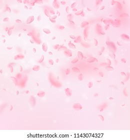 Sakura petals falling down. Romantic pink flowers gradient. Flying petals on pink square background. Love, romance concept. Bewitching wedding invitation.