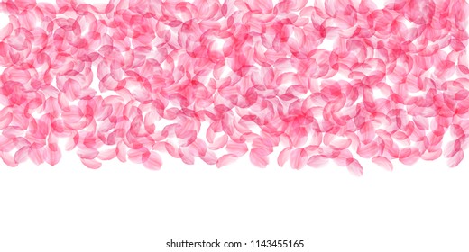 Sakura petals falling down. Romantic pink silky big flowers. Thick flying cherry petals. Wide top gradient appealing vector background. Love, affection, romance concept.