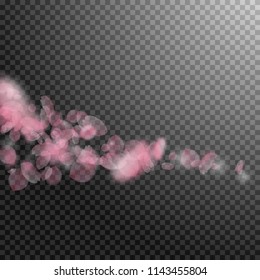 Sakura petals falling down. Romantic pink flowers comet. Flying petals on transparent square background. Love, romance concept. Symmetrical wedding invitation.