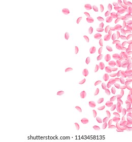 Sakura petals falling down. Romantic pink bright medium flowers. Thick flying cherry petals. Scatter right gradient rare vector background. Love, affection, romance concept.