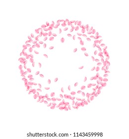 Sakura petals falling down. Romantic pink silky small flowers. Thick flying cherry petals. Round frame original vector background. Love, affection, romance concept.
