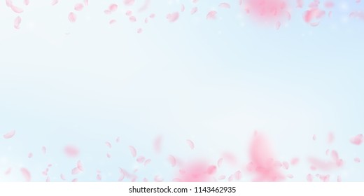 Sakura petals falling down. Romantic pink flowers border. Flying petals on blue sky wide background. Love, romance concept. Fine wedding invitation.