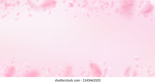 Sakura petals falling down. Romantic pink flowers falling rain. Flying petals on pink wide background. Love, romance concept. Noteworthy wedding invitation.