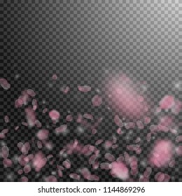 Sakura petals falling down. Romantic pink flowers gradient. Flying petals on transparent square background. Love, romance concept. Vibrant wedding invitation.