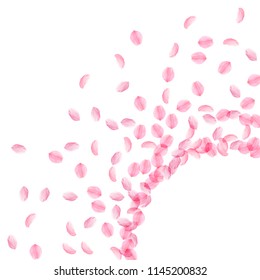 Sakura petals falling down. Romantic pink silky medium flowers. Thick flying cherry petals. Radiant corner lively vector background. Love, affection, romance concept.