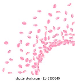 Sakura petals falling down. Romantic pink bright medium flowers. Thick flying cherry petals. Radiant corner juicy vector background. Love, affection, romance concept.