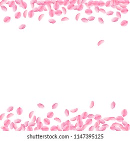 Sakura petals falling down. Romantic pink bright medium flowers. Thick flying cherry petals. Borders amusing vector background. Love, affection, romance concept.