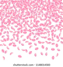 Sakura petals falling down. Romantic pink bright medium flowers. Thick flying cherry petals. Top gradient good-looking vector background. Love, affection, romance concept.