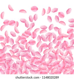 Sakura petals falling down. Romantic pink bright big flowers. Thick flying cherry petals. Bottom gradient attractive vector background. Love, affection, romance concept.