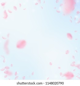 Sakura petals falling down. Romantic pink flowers vignette. Flying petals on blue sky square background. Love, romance concept. Fantastic wedding invitation.