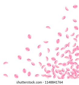 Sakura petals falling down. Romantic pink bright medium flowers. Thick flying cherry petals. Scattered bottom right corner unequaled vector background. Love, affection, romance concept.