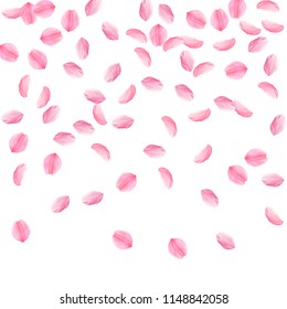 Sakura petals falling down. Romantic pink silky medium flowers. Sparse flying cherry petals. Top gradient graceful vector background. Love, affection, romance concept.