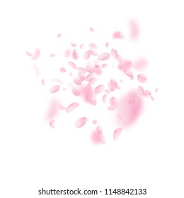 Sakura petals falling down. Romantic pink flowers explosion. Flying petals on white square background. Love, romance concept. Eminent wedding invitation.