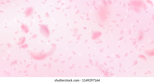 Sakura petals falling down. Romantic pink flowers falling rain. Flying petals on pink wide background. Love, romance concept. Outstanding wedding invitation.