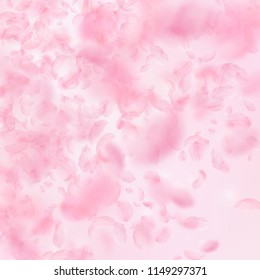 Sakura petals falling down. Romantic pink flowers gradient. Flying petals on pink square background. Love, romance concept. Creative wedding invitation.