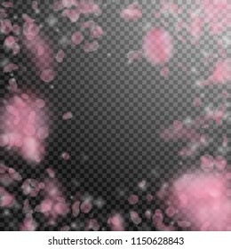 Sakura petals falling down. Romantic pink flowers vignette. Flying petals on transparent square background. Love, romance concept. Majestic wedding invitation.
